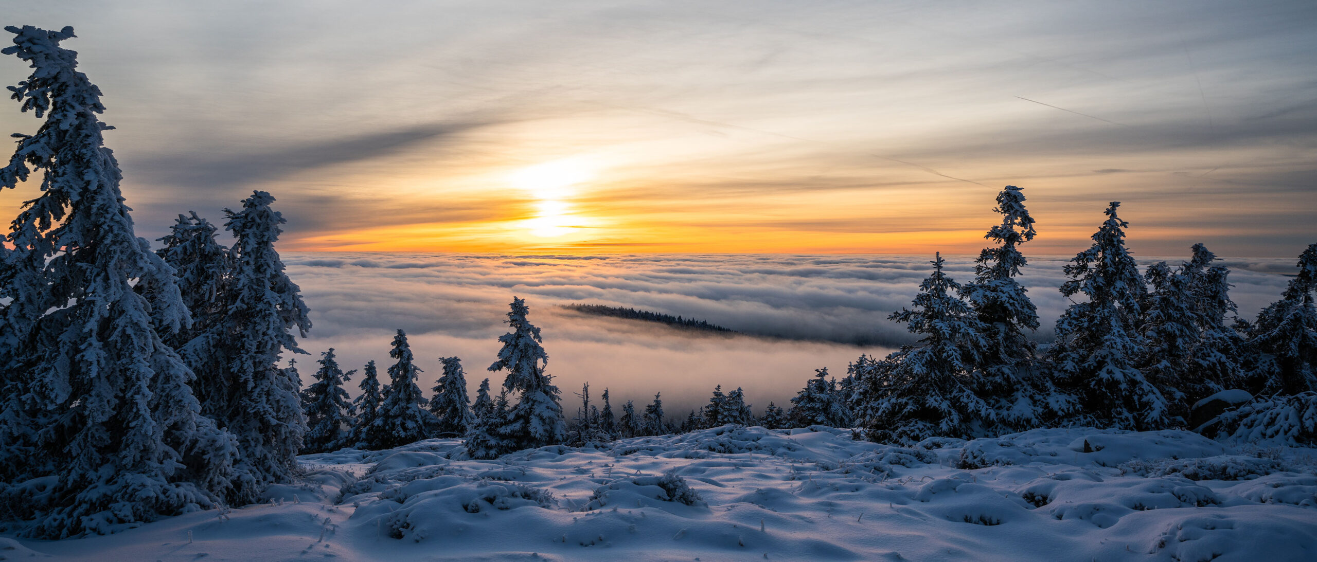 Fotoworkshop: Winterlicht Aufwärts scharf kritisieren mehr noch am Bodden